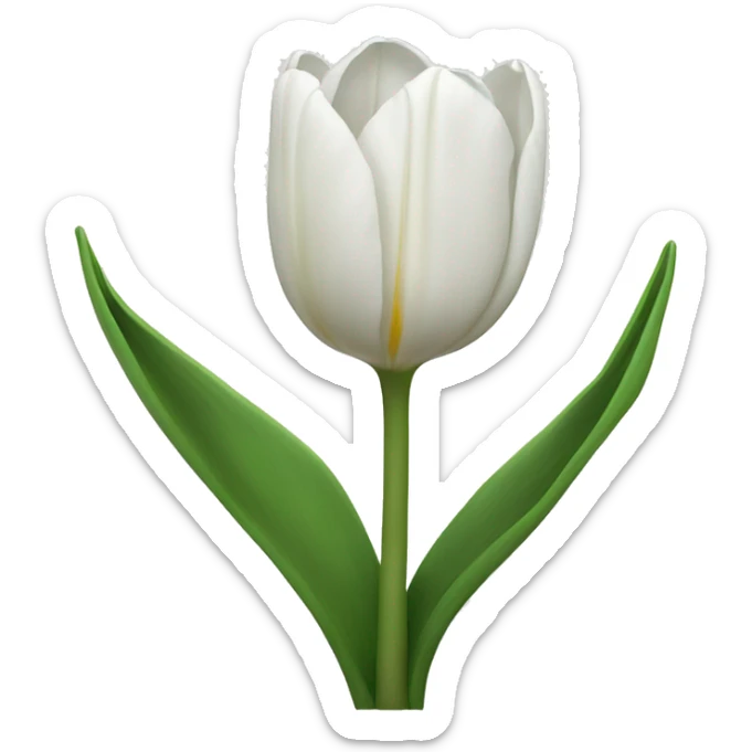 White tulips sticker