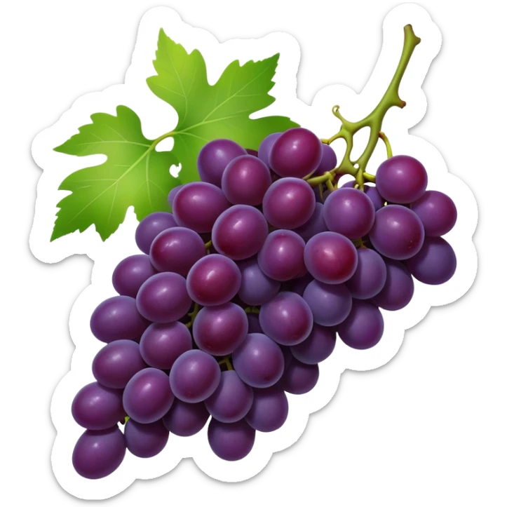 A high-res, transparent-background emoji

Of a realistic small bunch of deep purple grapes

With a green stem and a touch of leaf sticker