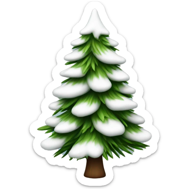  actual white fir christmas tree isolated.  sticker