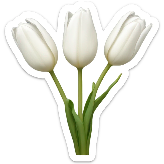 white tulips sticker