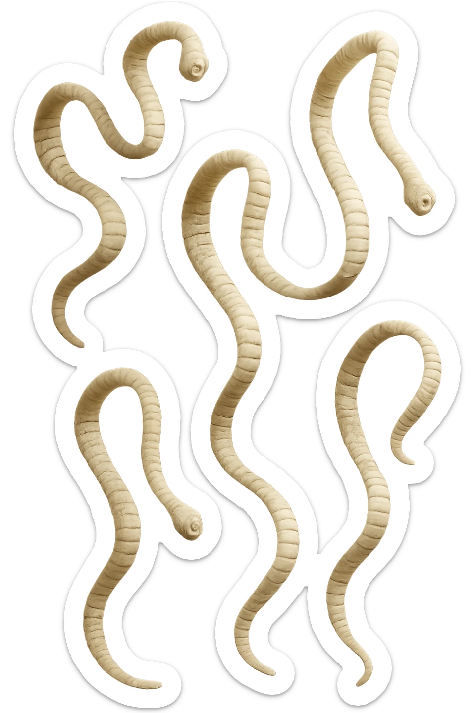 CINQUE PARASSITI COME LA TENIA FLUTTUANO IN ARIA, iperrealistico 4k sticker