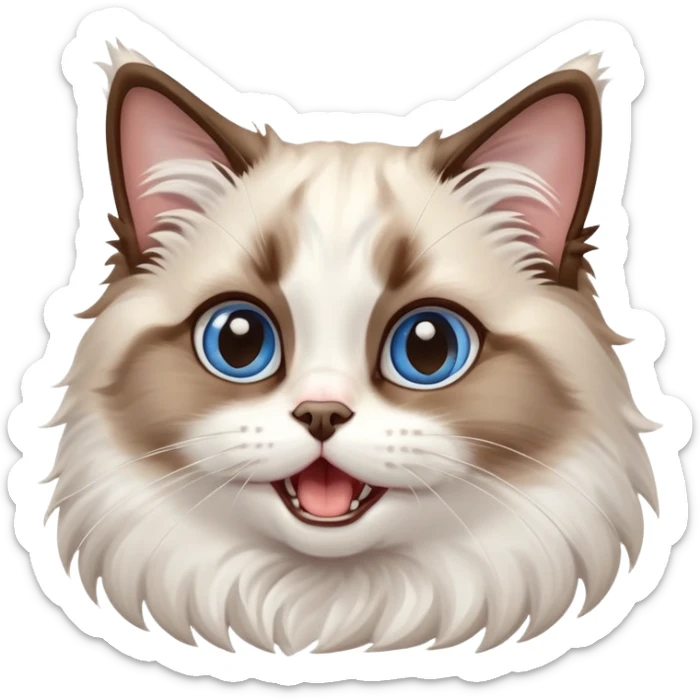 cinematic-adorable-big-eyed-fluffy-brown and white ragdoll-cat-portrait-emoji,-head-tilted-playfully-with-a-cute,-yawn,-soft-brown-and white-colored-fur-with-darker-points-on-the-ears,-simplified-yet-irresistibly-cute-features, sparkling blue eyes sticker