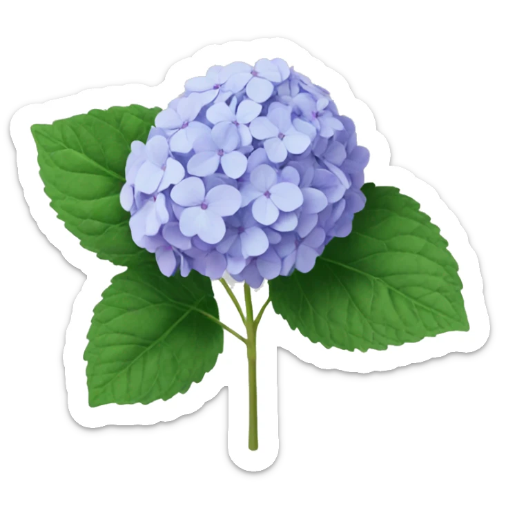 Hydrangea sticker