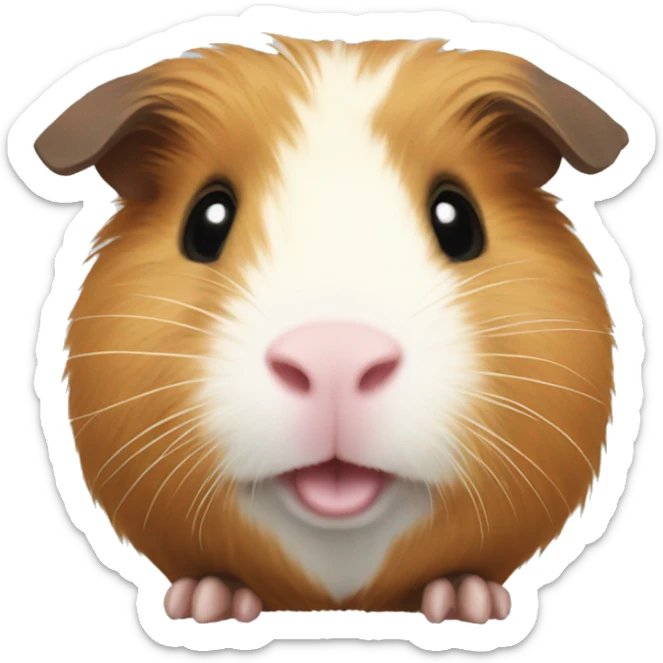 Guinea pig sticker