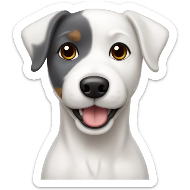 white dog with dark gray ears, mixed breed Jack Russel and bichon frize sticker