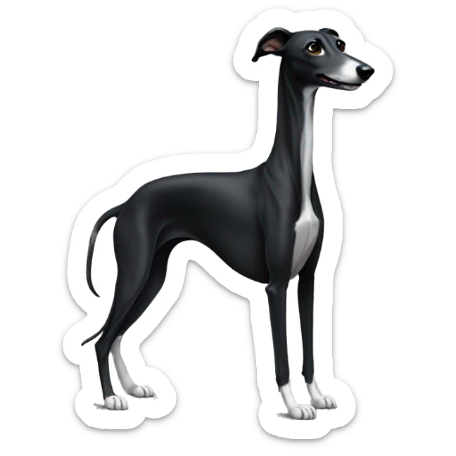 Black greyhound sticker
