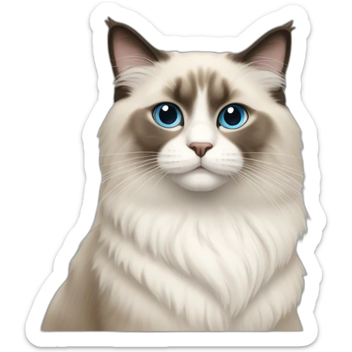 Ragdoll cat sticker