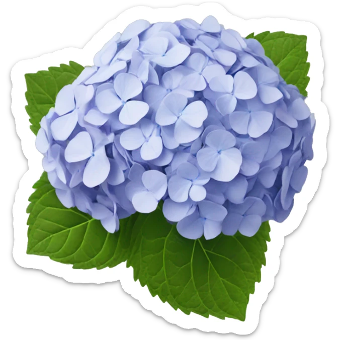 Hydrangea sticker