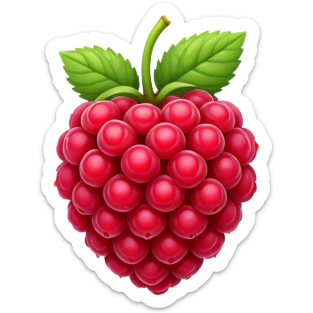 raspberry sticker