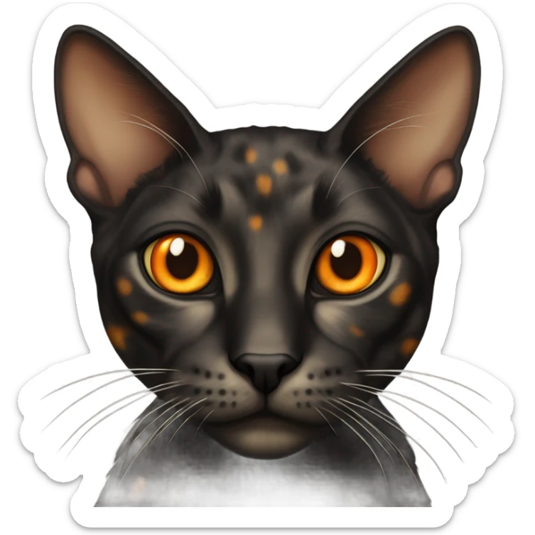 skinny dark tortoiseshell cat with orange eyes and a cream colored marking above its mouth sticker