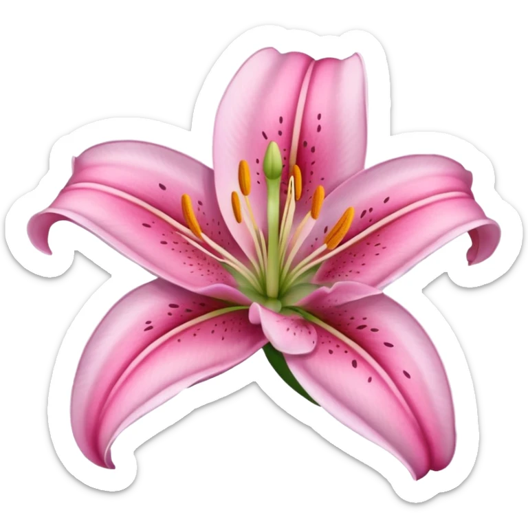 pink lily flower sticker