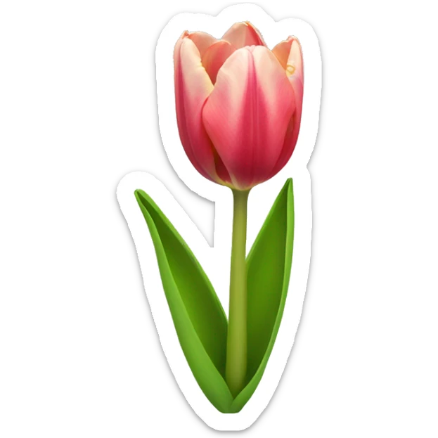 Tulip  sticker