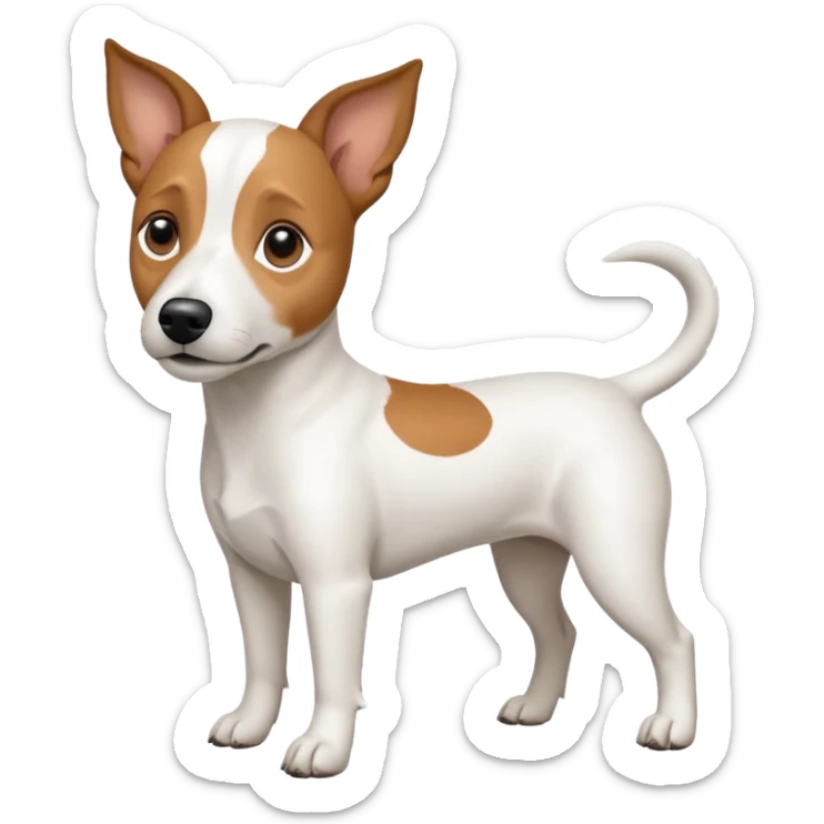 a full body white jack russel looking dog the size of a kelpie with light brown ears and a light brown patch on one eye, flopped down ears and a large snout sticker