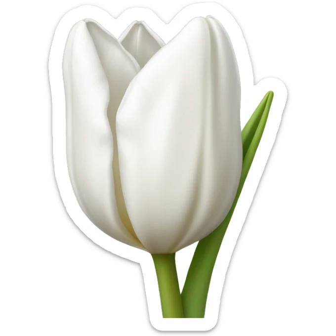 white tulip sticker