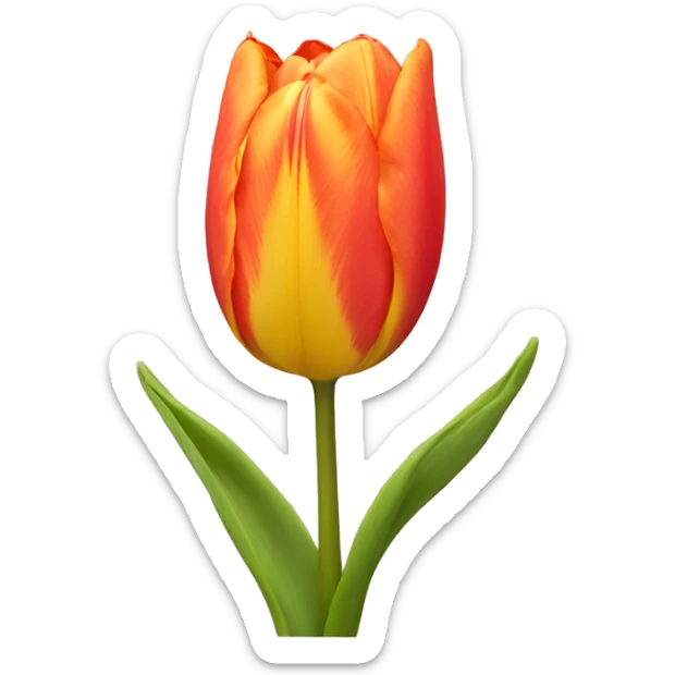 Tulip sticker