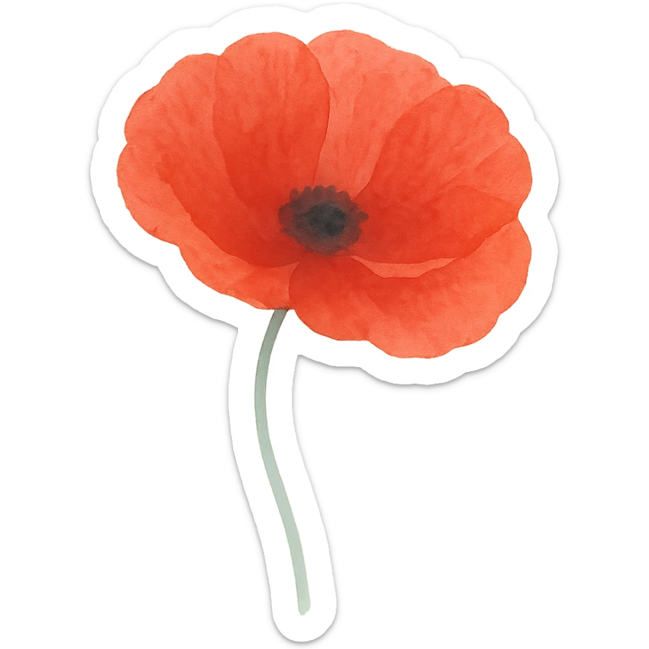 close-up of a poppy, realistic textures, vivid red petals, no background sticker