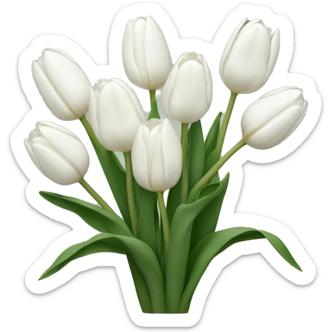 White tulips  sticker