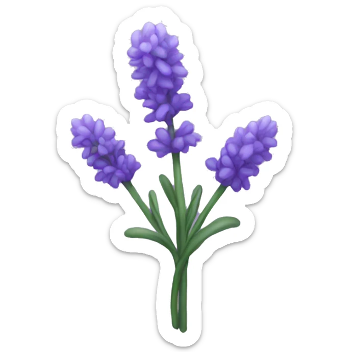 Lavender sticker