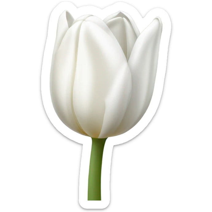 White tulip sticker