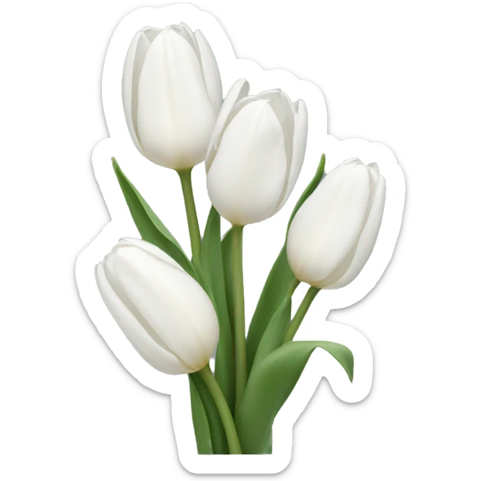 White tulips sticker