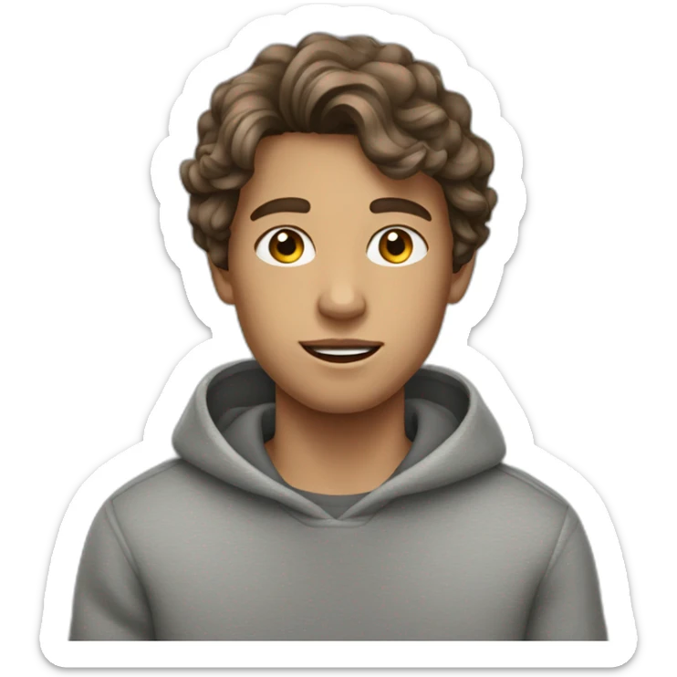 teenager boy brown wavy hair and gray sweater sticker