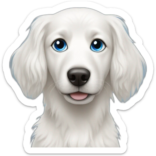 long hair white dog with a blue eye and the other eye brown sticker