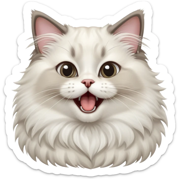 cinematic-adorable-big-eyed-fluffy-ragdoll-cat-portrait-emoji,-head-tilted-playfully-with-a-cute,-exaggerated-yawn,-white and grey fur,-simplified-yet-irresistibly-cute-features sticker
