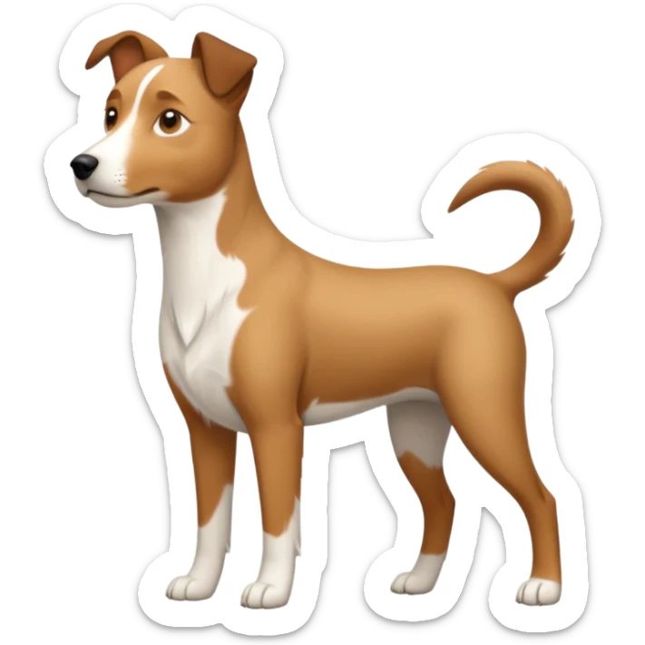 a full body large white parson russell looking dog the size of a kelpie with light brown ears and a light brown patch on one eye and a large snout sticker