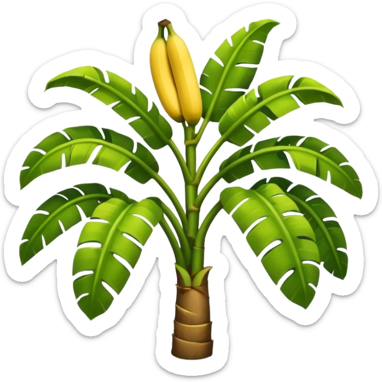 Banana tree sticker