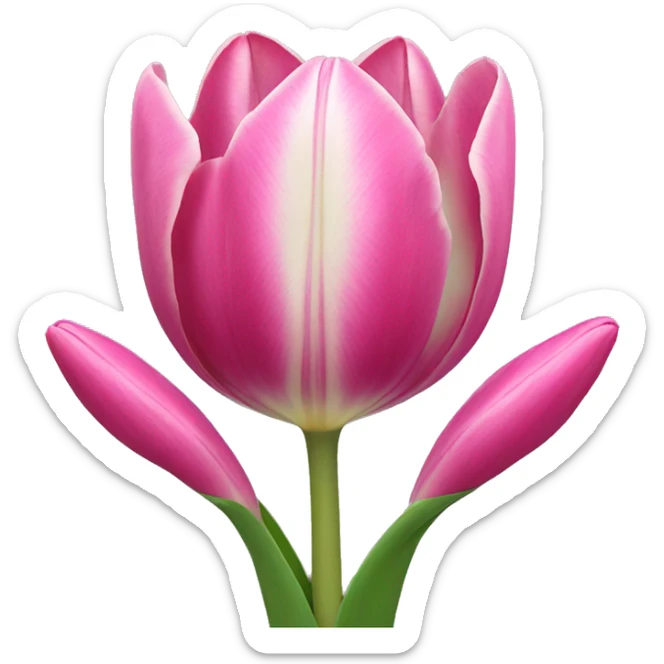 Tulip sticker