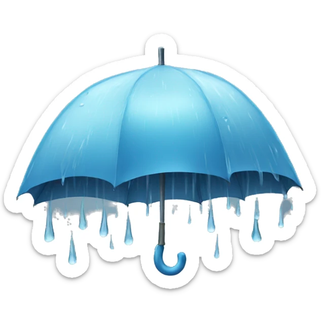 rain  sticker