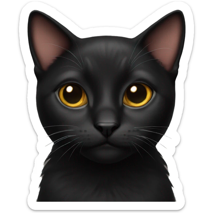 pretty black cat sticker