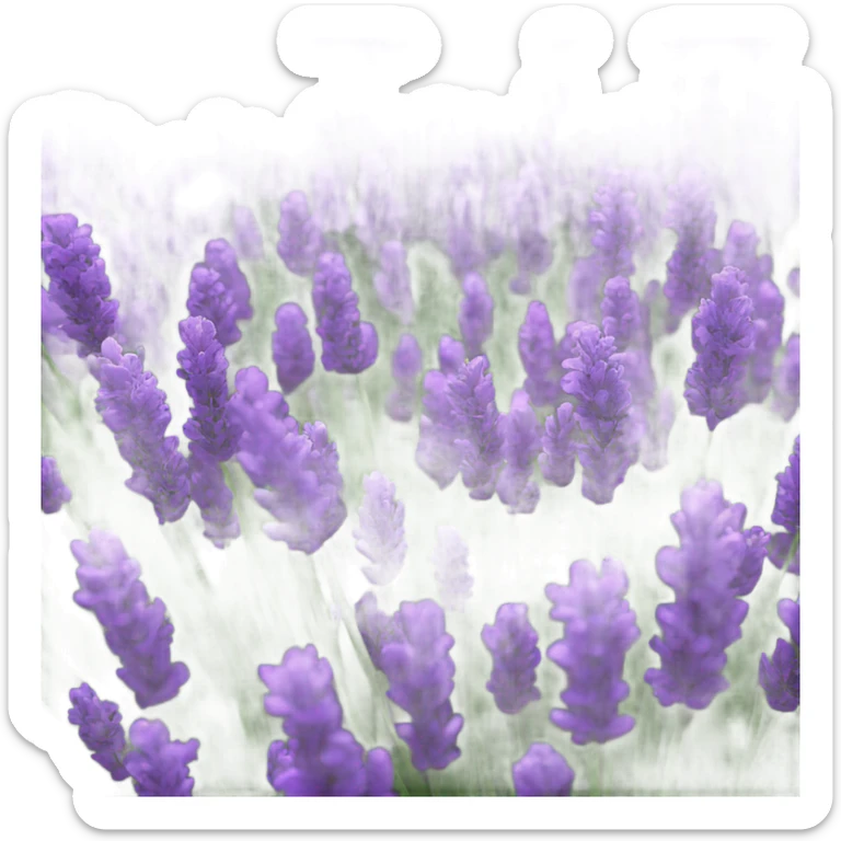 lavender sticker