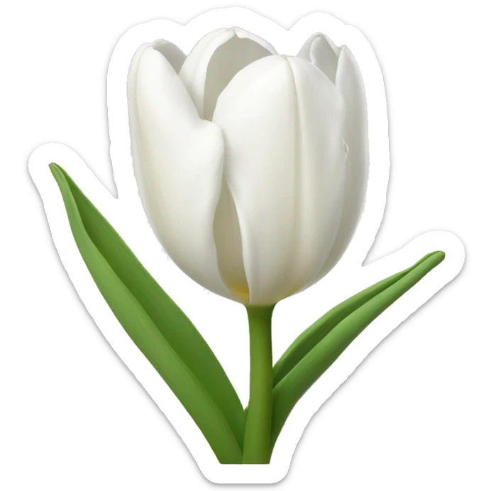 White Tulips sticker