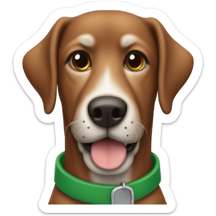 Brown dog with floppy ears, and a green collar and a brown nose and a gray beard sticker