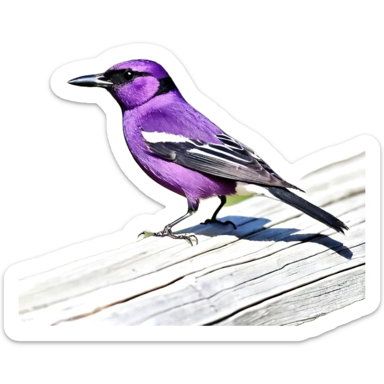 Apvalus buteliukas, storas skaidrus stiklas, mazas kamštelis. Skystis sodrus – mėlynas su žalsvu ir violetiniu atspalviu (#00d9ff + #00ff99 + #7f00ff). Skystyje matosi smulkios švytinčios kibirkštys ir kelios mažos magiškos runos. sticker