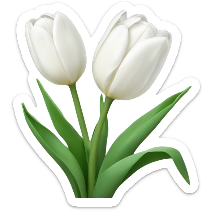 White tulips  sticker