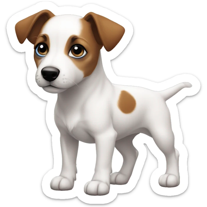 Muscular Jack Russel Terrier Puppy all white fur blue eyes, brown spot on right eye  sticker