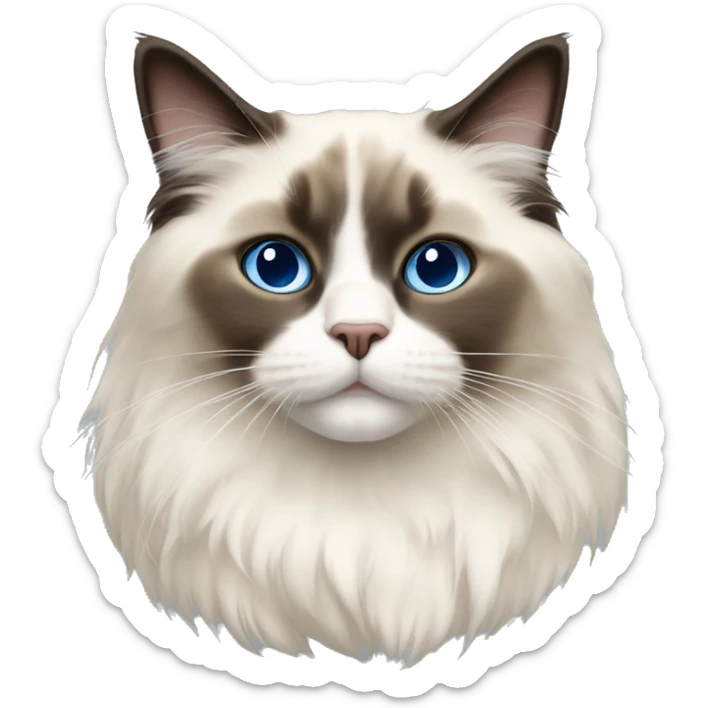 Ragdoll cat  sticker