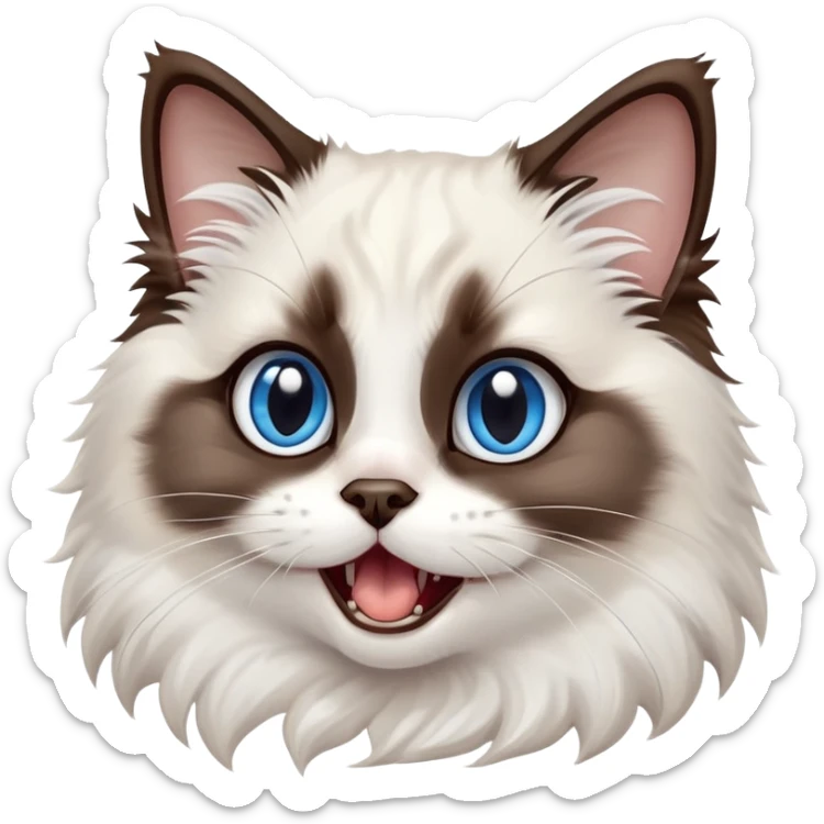cinematic-adorable-big-eyed-fluffy-dark brown and white ragdoll-cat-portrait-emoji,-head-tilted-playfully-with-a-cute,-yawn,-soft-brown-and white-colored-fur-with-darker-points-on-the-ears,-simplified-yet-irresistibly-cute-features, sparkling blue eyes sticker