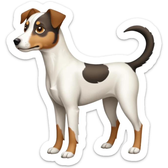 a full body large white parson russell looking dog the size of a kelpie with light brown flopped down ears and a light brown patch on one eye and a large snout sticker