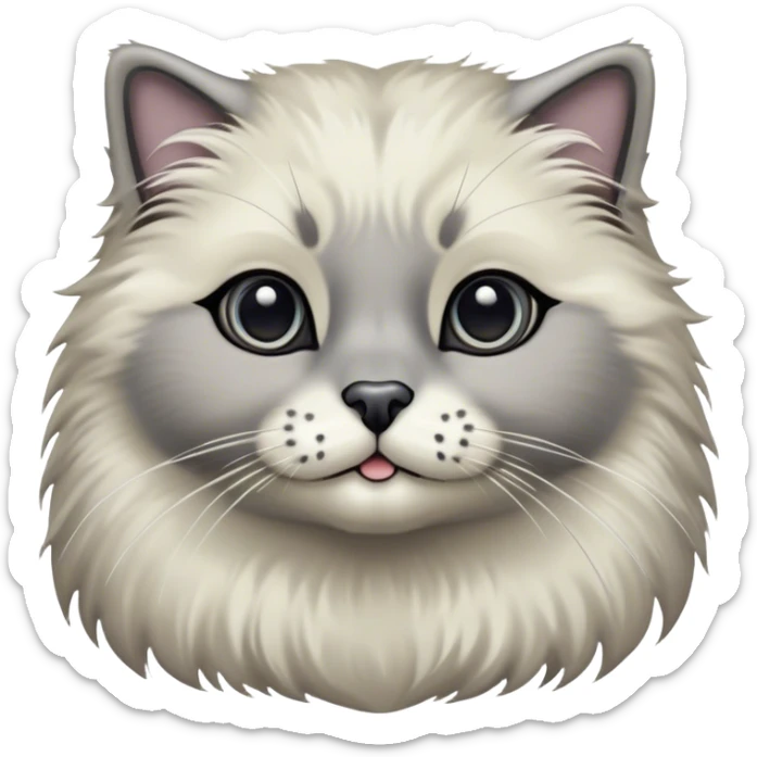 Cinematic Adorable Fluffy Grey Seal Ragdoll Cat Portrait Emoji, Head tilted cutely with big, sparkling eyes, soft grey fur with darker seal points on the ears, face, and paws, Simplified yet irresistibly adorable features, highly detailed, glowing with a soft, warm glow, high shine, affectionate and playful, stylized with a touch of whimsy, bright and endearing, soft glowing outline, capturing the essence of a curious and loving kitten, so cute it feels like it could leap out of the screen and snuggle up for a cuddle! sticker