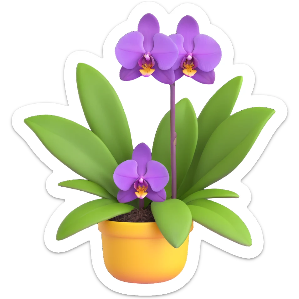 Realistic purple phalaenopsis orchid with rich lavender blooms and prominent large green leaves clearly visible sticker
