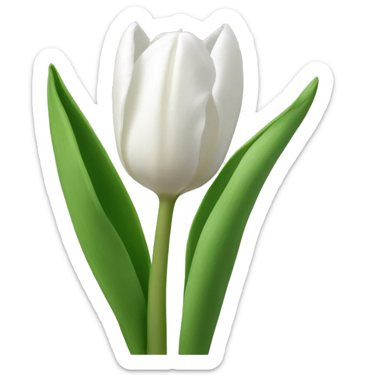 White tulips  sticker