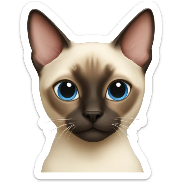 siamese cat sticker