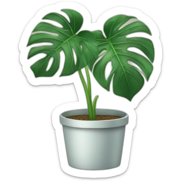 Monstera plant sticker