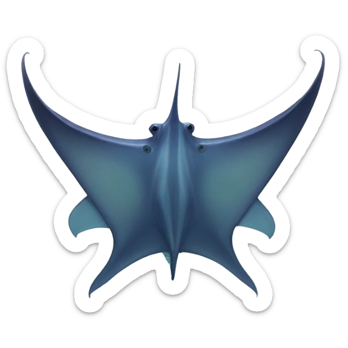 RAY manta sticker