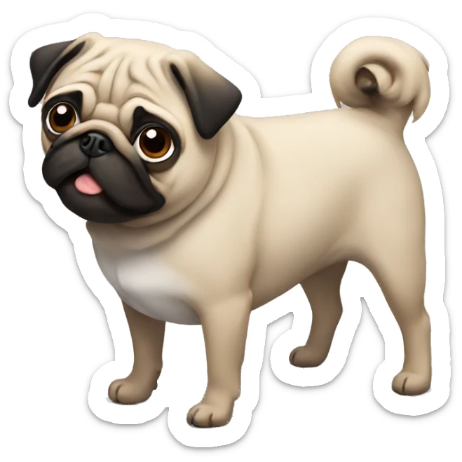 Pug sticker