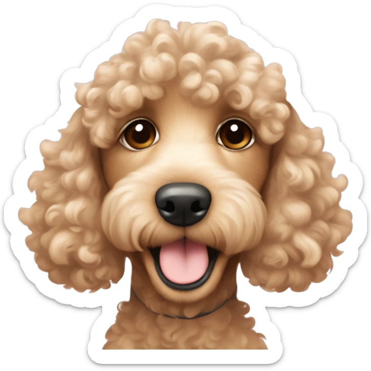 Cute young cocker poodle mix in beige and curly fur happy face fur more apricot and more like cocker spaniel looking  sticker