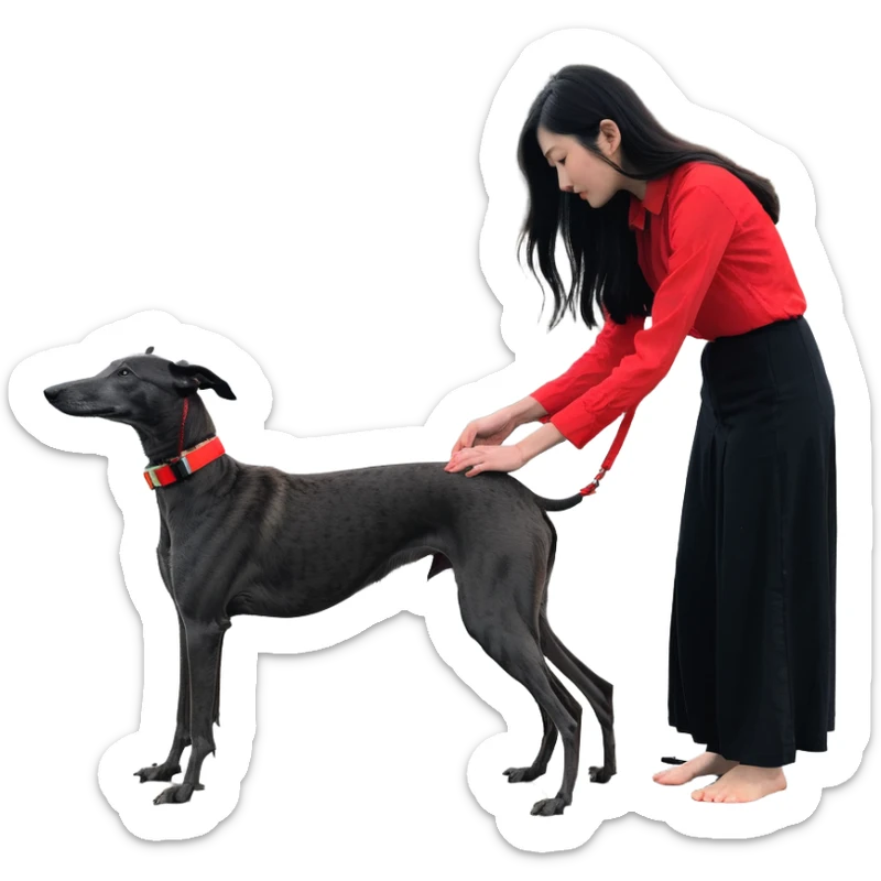 A very beautiful and attractive 25-year-old Japanese woman with long flowing black hair gently petting a PURE SOLID DARK GREY whippet wearing only a bright RED COLLAR on a beach at night under a starry sky. The whippet MUST be 100% SOLID DARK GREY with ABSOLUTELY NO WHITE MARKINGS ANYWHERE - specifically NO WHITE on face, NO WHITE on chest, NO WHITE on paws, NO WHITE anywhere - ENTIRELY ONE CONSISTENT SOLID DARK GREY COLOR throughout the entire dog from nose to tail tip. Only exception is the bright red collar. Deep blue night sky filled with bright stars, moonlight reflecting on the ocean, sandy beach in the foreground. sticker